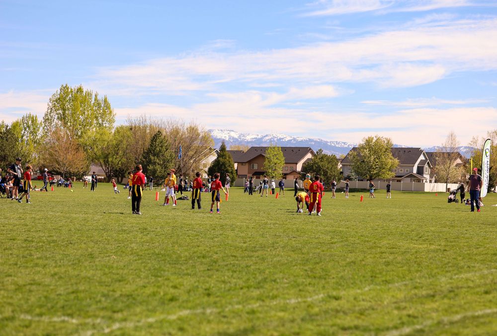 People gather on a large green field for outdoor activities with suburban houses and trees visible in the background.