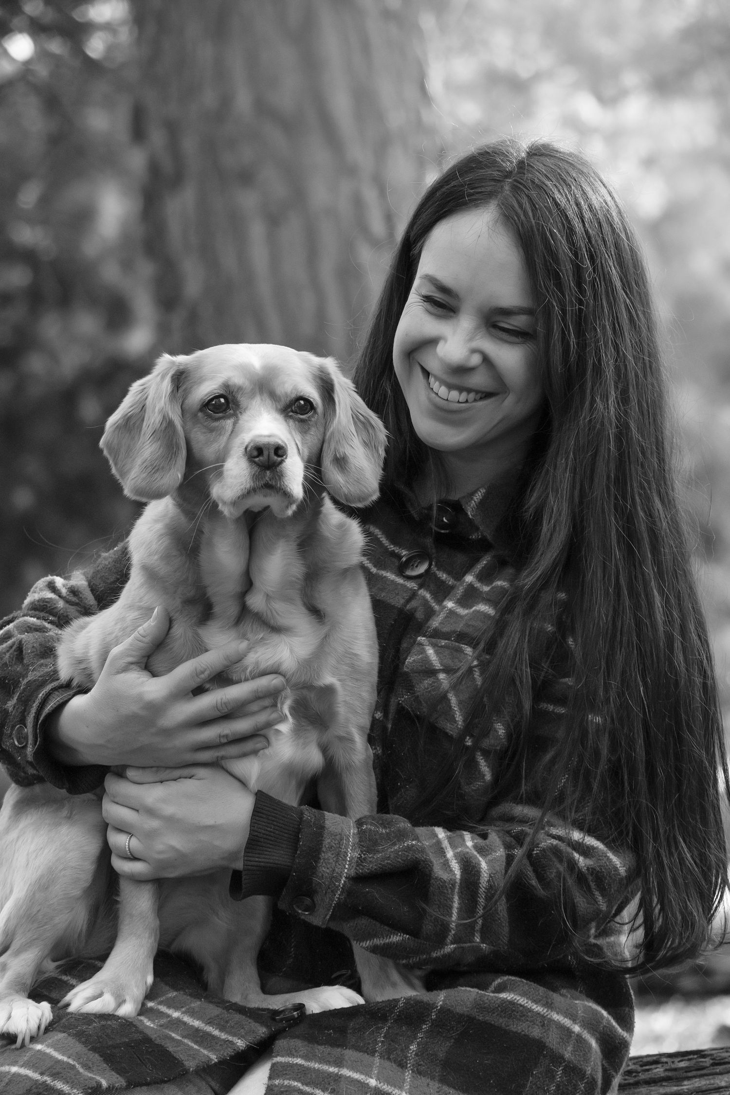 Dog photographer Melbourne End of life labrador and staffy
