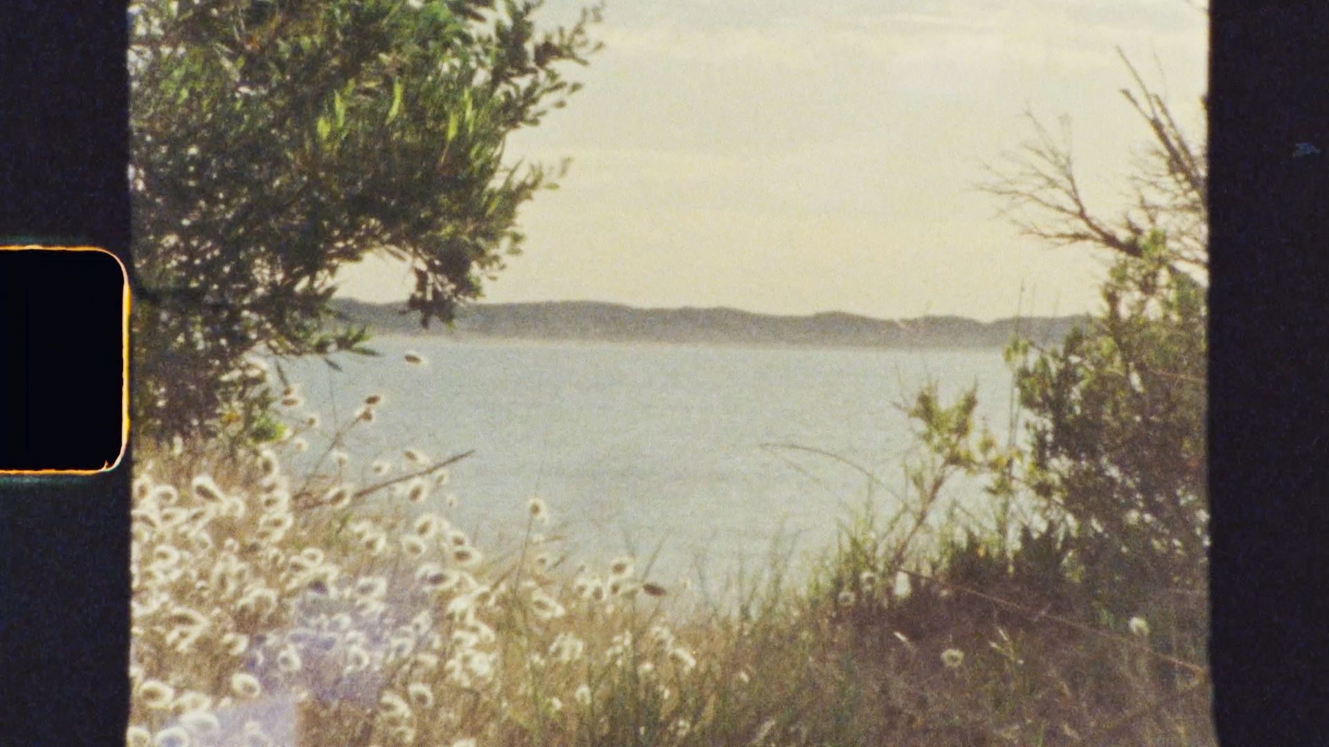 Serene waterfront landscape with trees framing a distant shoreline.