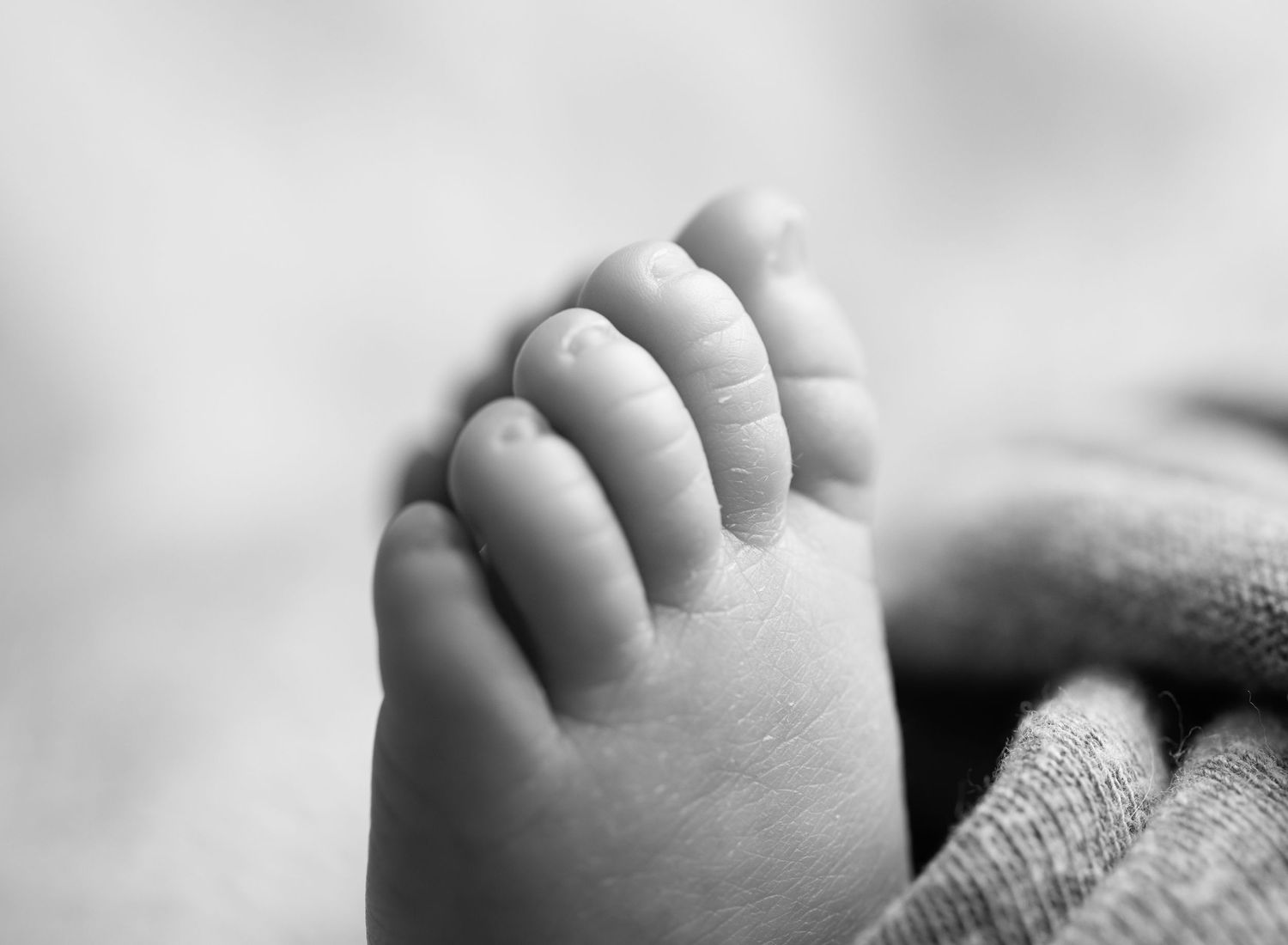 Newborn and family photographer in Holly Springs NC and Raleigh NC