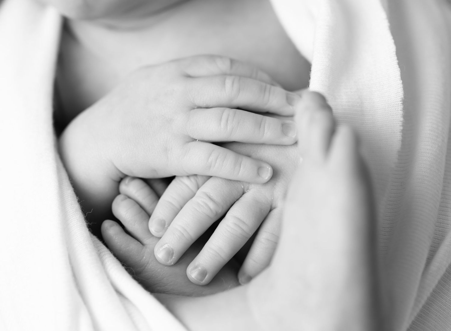 Newborn and family photographer in Holly Springs NC and Raleigh NC