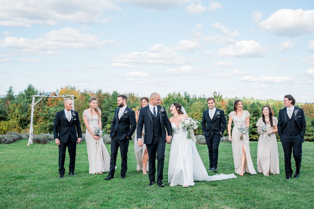 A wedding party in formal attire walks together on a lush green lawn under a bright blue sky with puffy clouds.