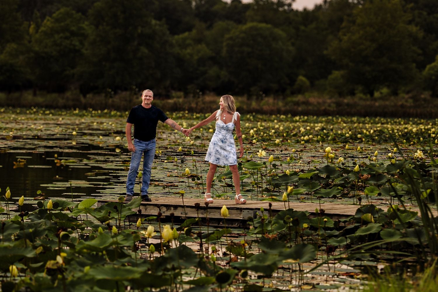 Wooden boardwalk extends over a peaceful pond filled with lily pads at sunset.