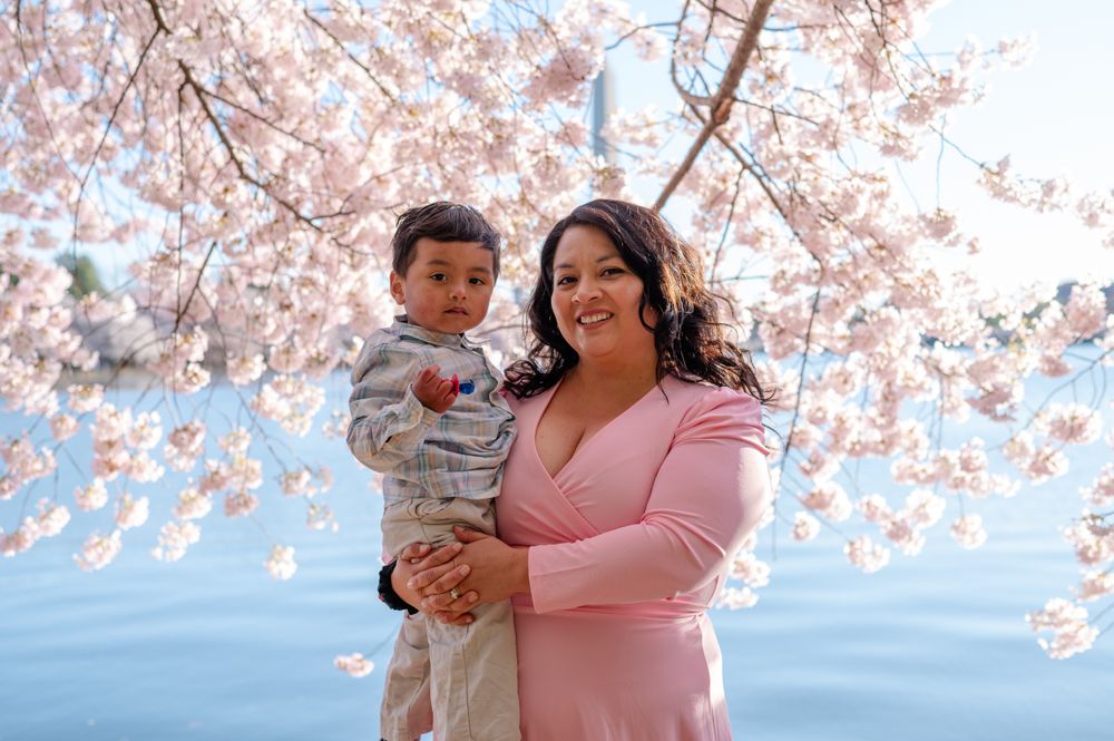 Cherry blossom family photography session with blooming pink cherry trees against a bright blue spring sky.