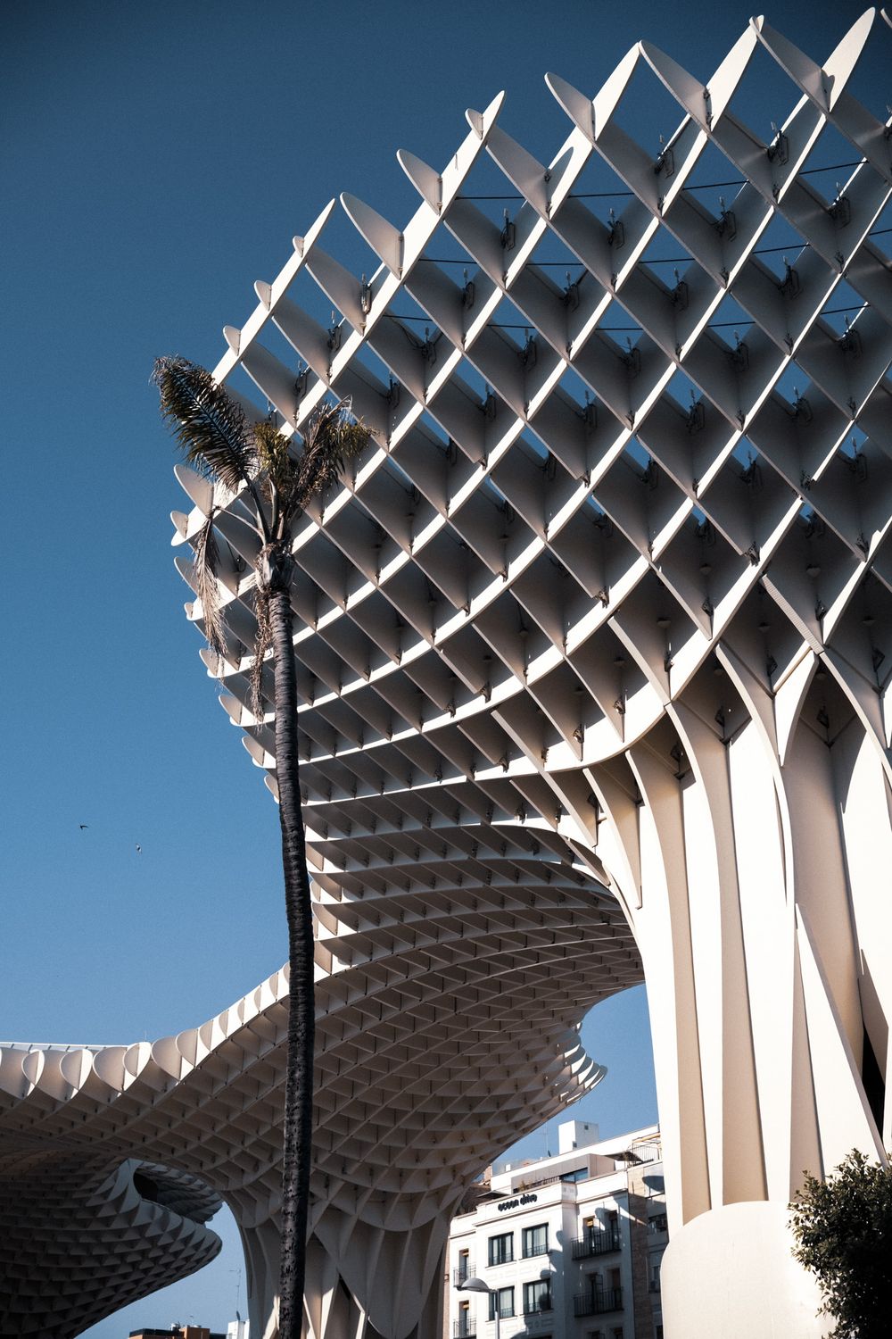 Close-up view of the Metropol Parasol structure in Seville, Spain, featuring its distinctive latticed wooden canopy against a blue sky.