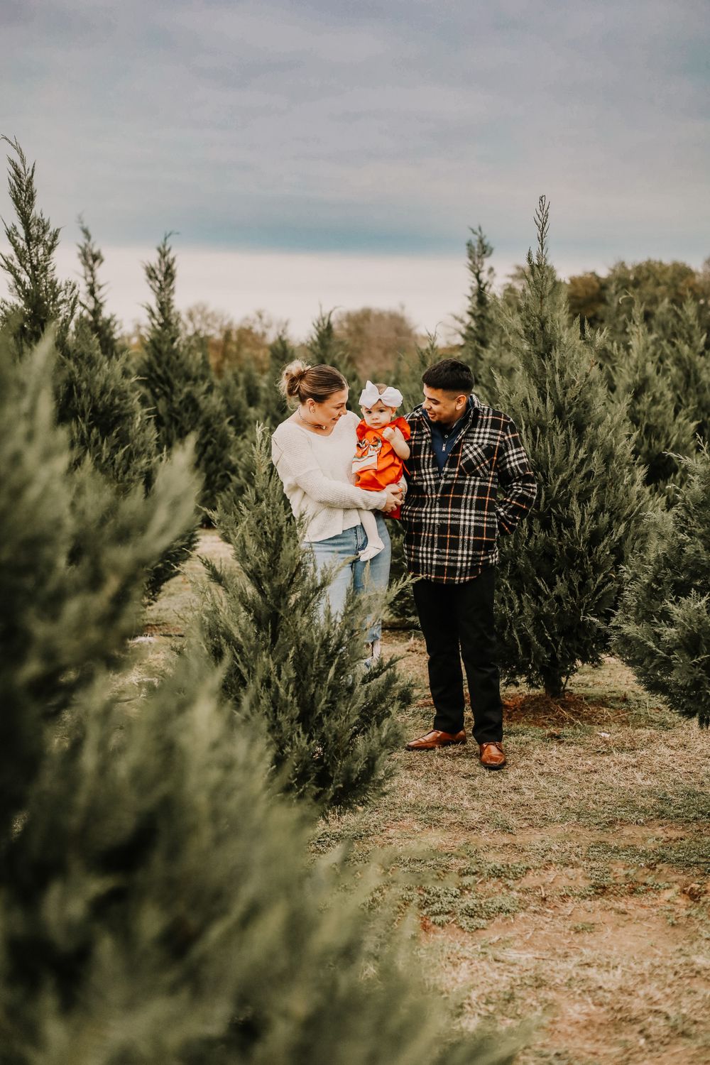 Christmas Tree Farm photos