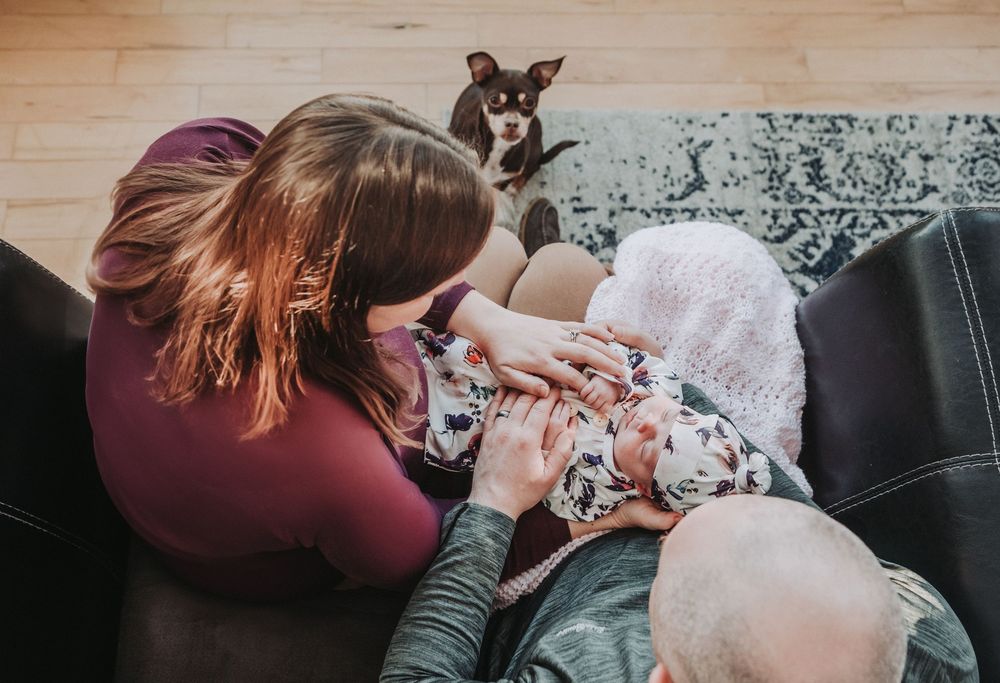 A small dog looks on while it's owners focus on the new baby in their home.