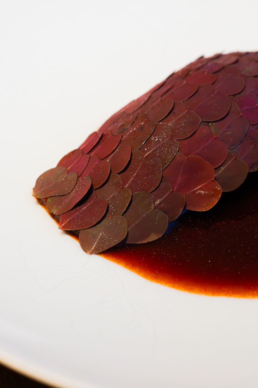 Close-up of thinly sliced dark red meat arranged in an overlapping pattern with soy sauce.