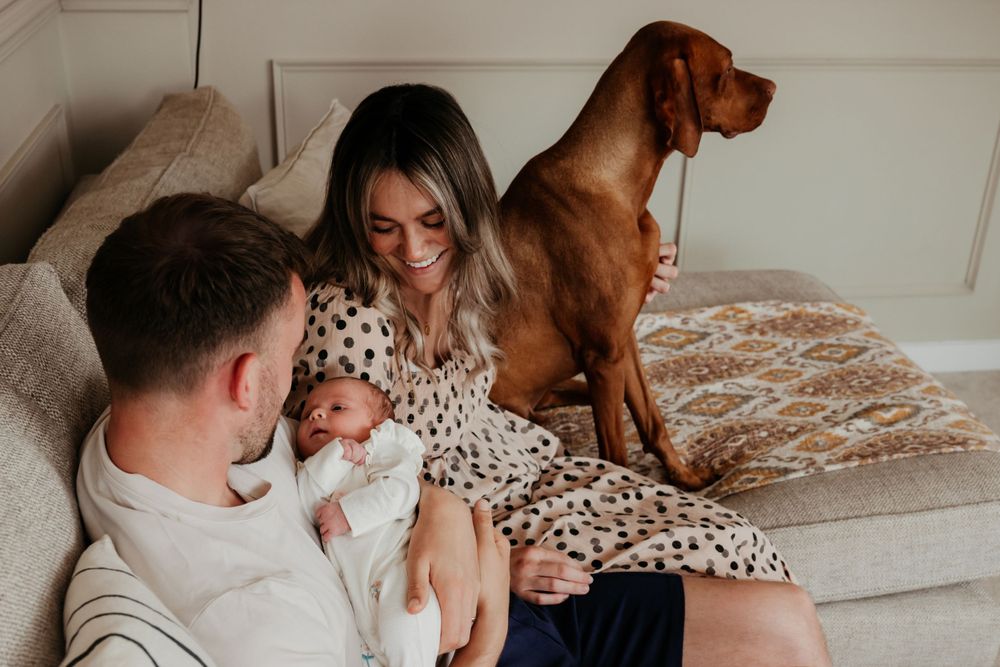 A family relaxing on a gray couch with their brown dog.