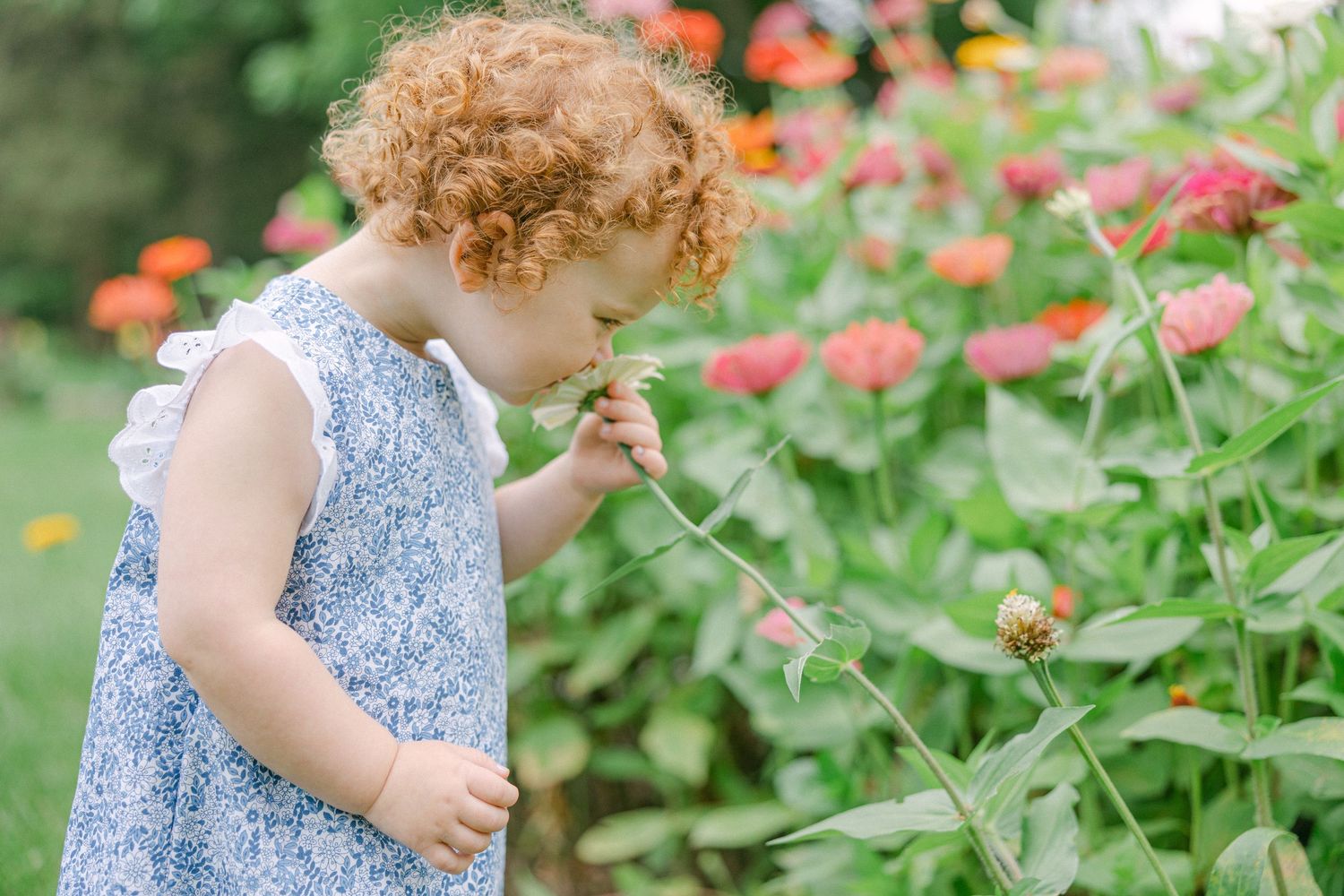 Ashley Nielsen Studio, Connecticut Family Photographer