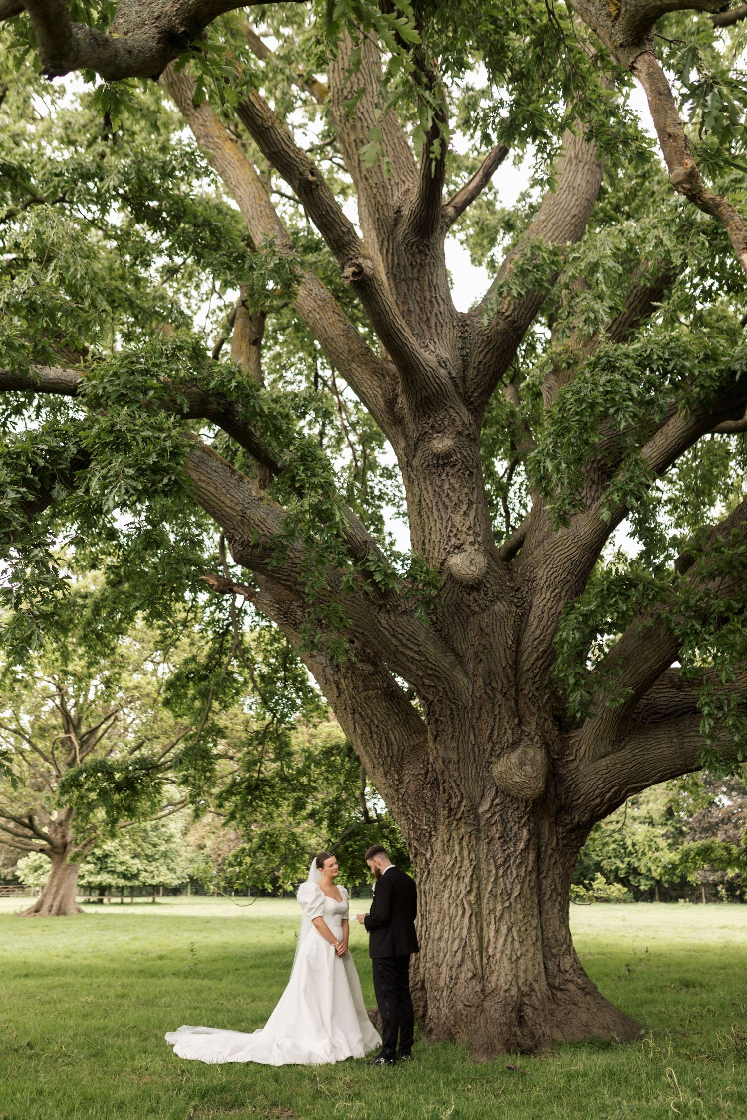 Romantic wedding portrait in a sunny meadow with puffy white clouds overhead.