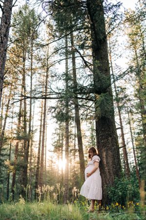 A woman in a gingham dress stands in a sunlit forest clearing surrounded by tall pine trees.