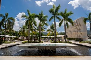 A modern plaza with tall royal palm trees and a reflecting pool in front of a contemporary architectural building.