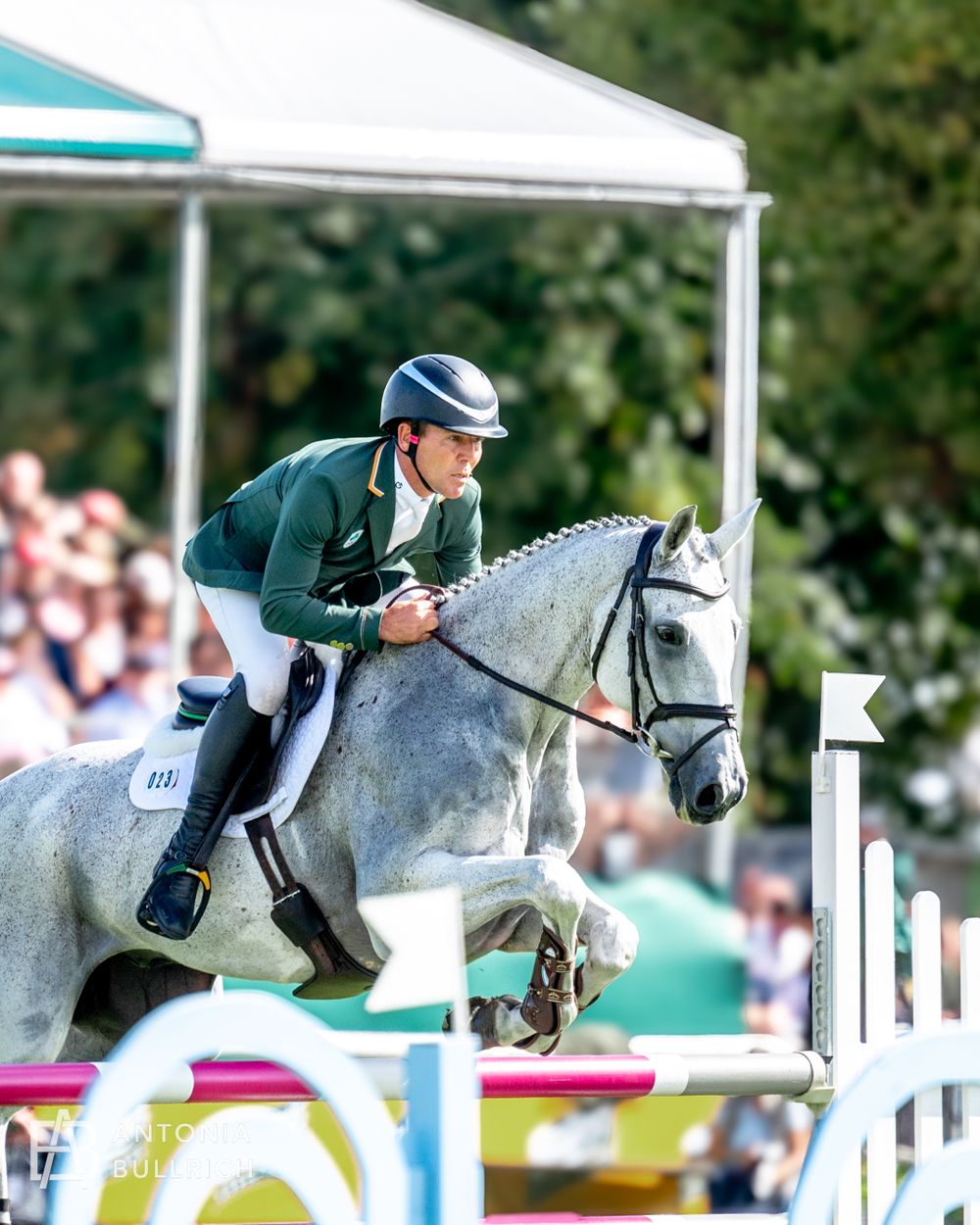 Showjumper in a green jacket riding a grey horse over a colourful oxer at an outdoor competition, with spectators in the background.