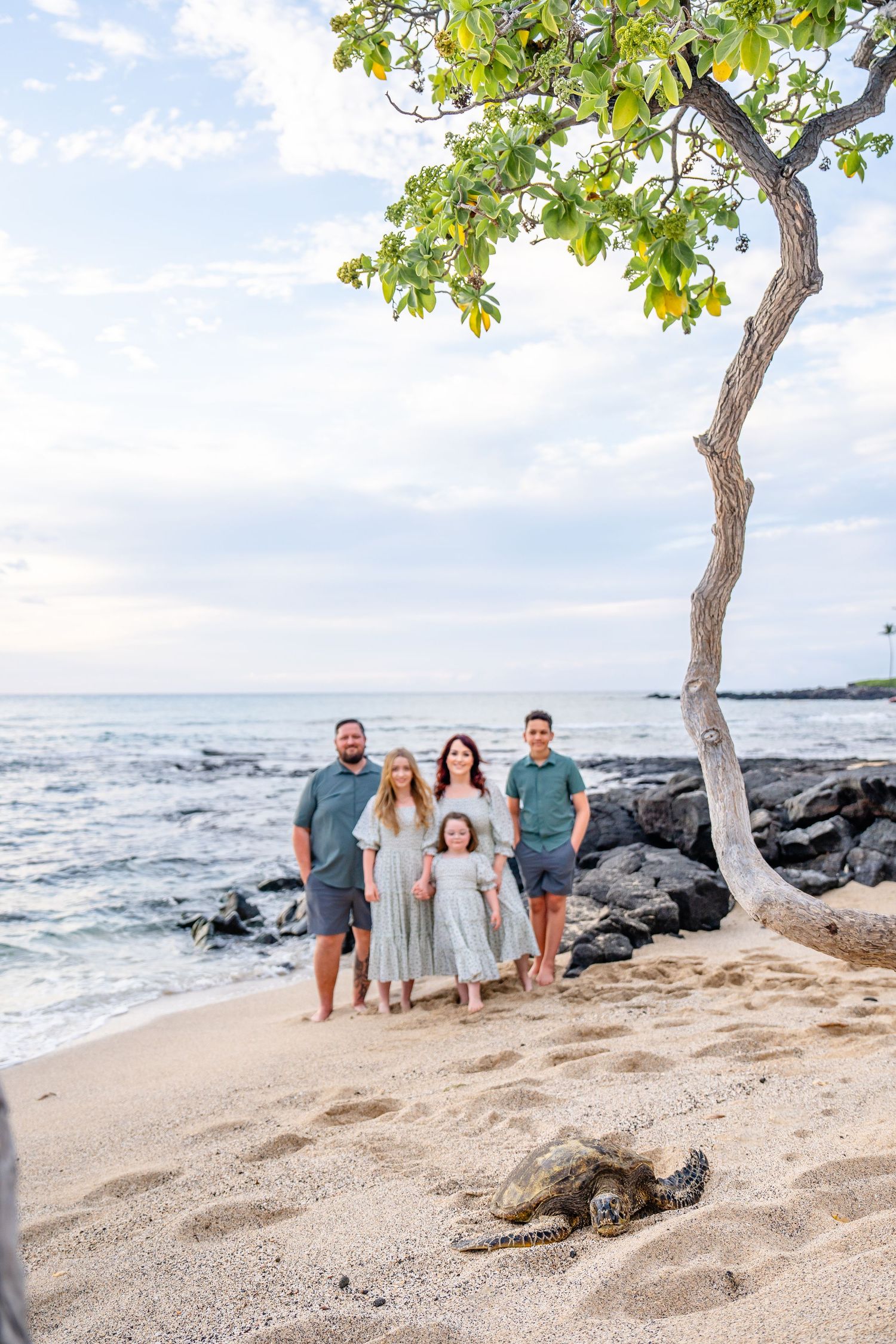 family photographer Hawaii