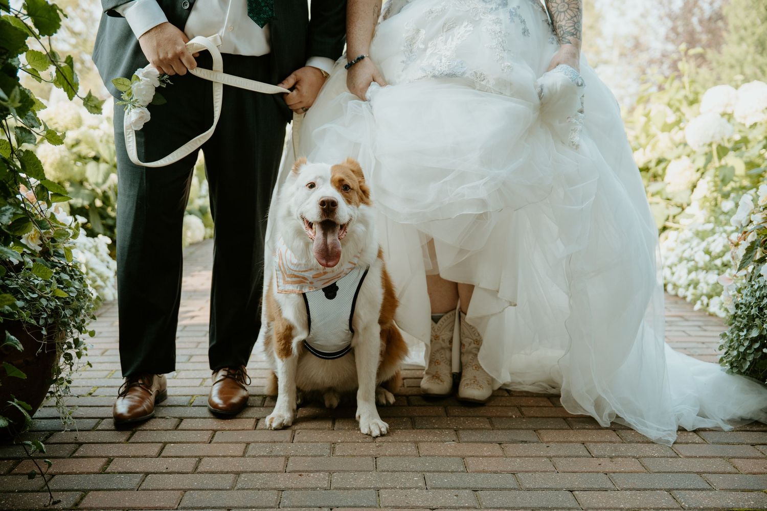 A series of cropped wedding photos showing the bottom half of a bride in a white dress with a dog at her feet.