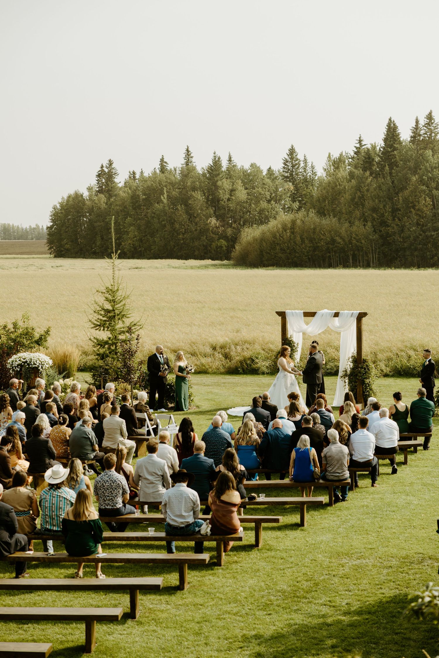 Outdoor wedding ceremony setup with wooden benches and guests seated in a grassy field surrounded by evergreen trees.