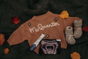 Michigan Maternity Photographer | Creative Art By Bree LLC