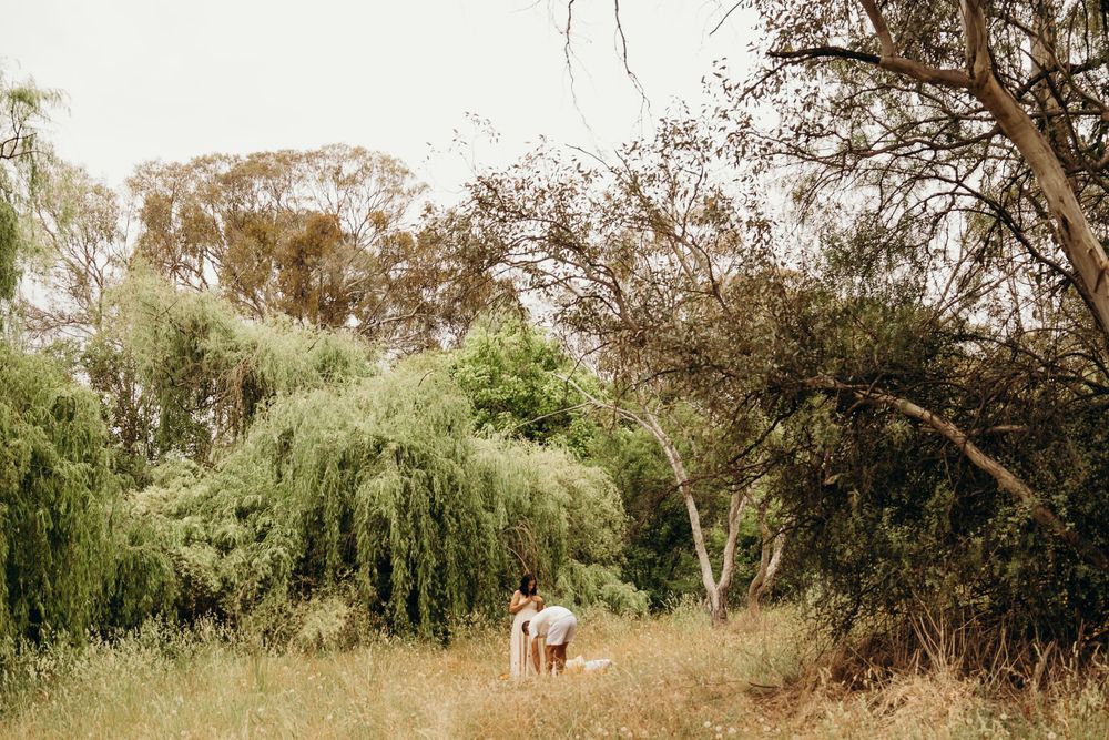 Couple walking with child through lush green meadow surrounded by trees.