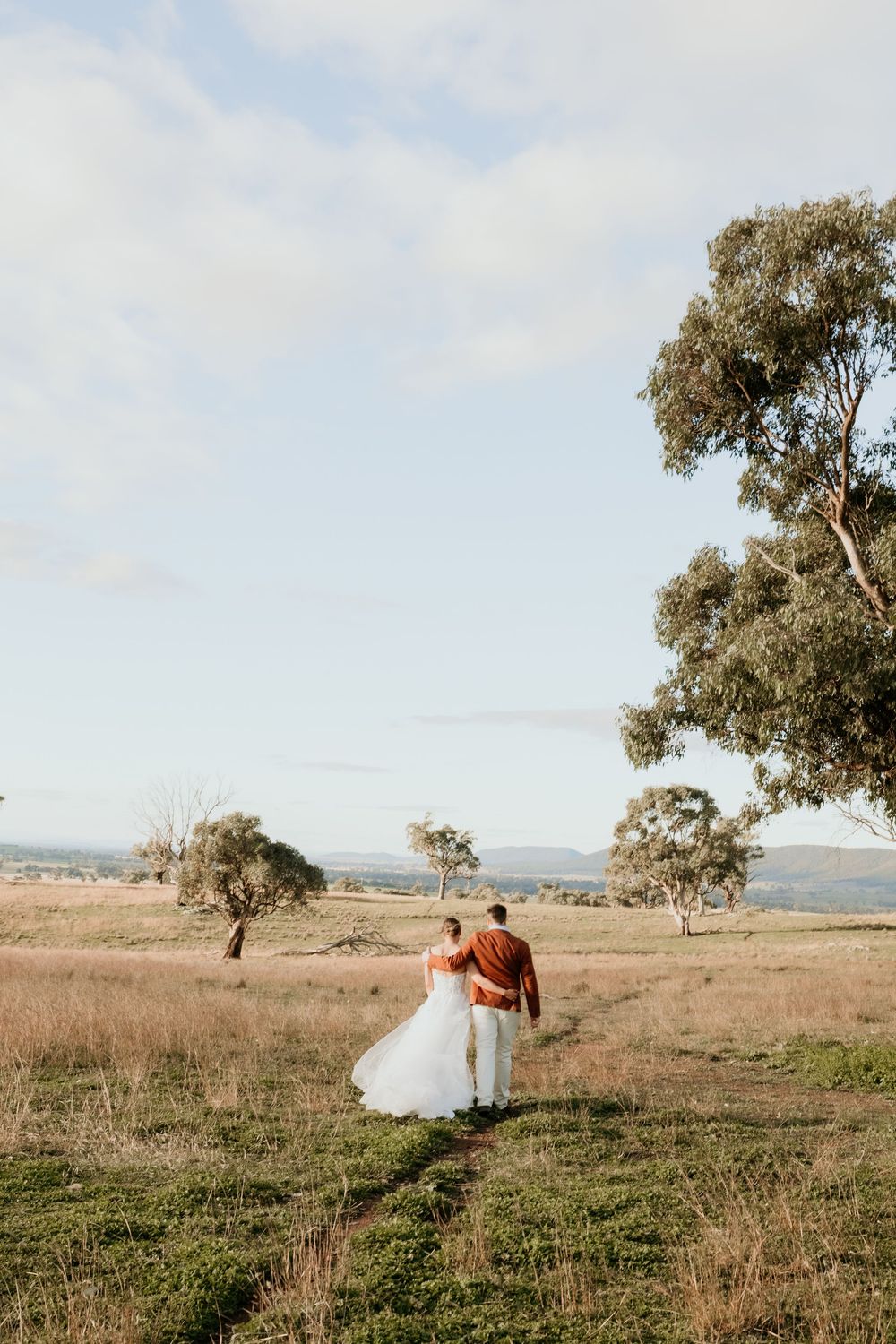 A bride and groom walk hand in hand through a golden field with eucalyptus trees and rolling hills in the background. Kristielle Gibbons.