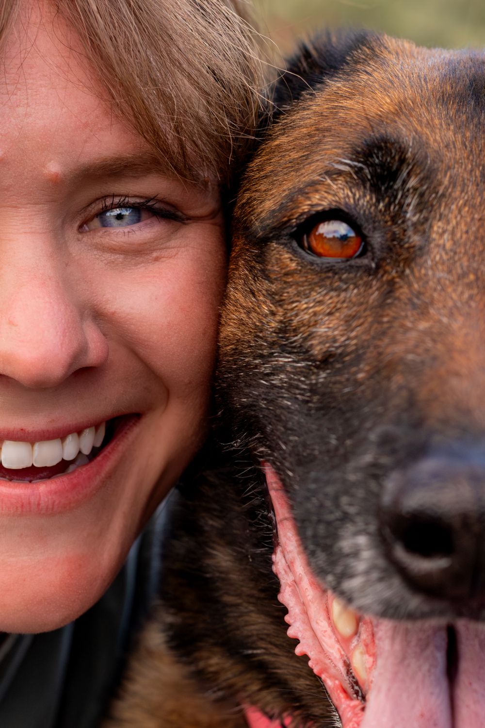 Intimate close-up showing the affectionate connection between a person and their German Shepherd.