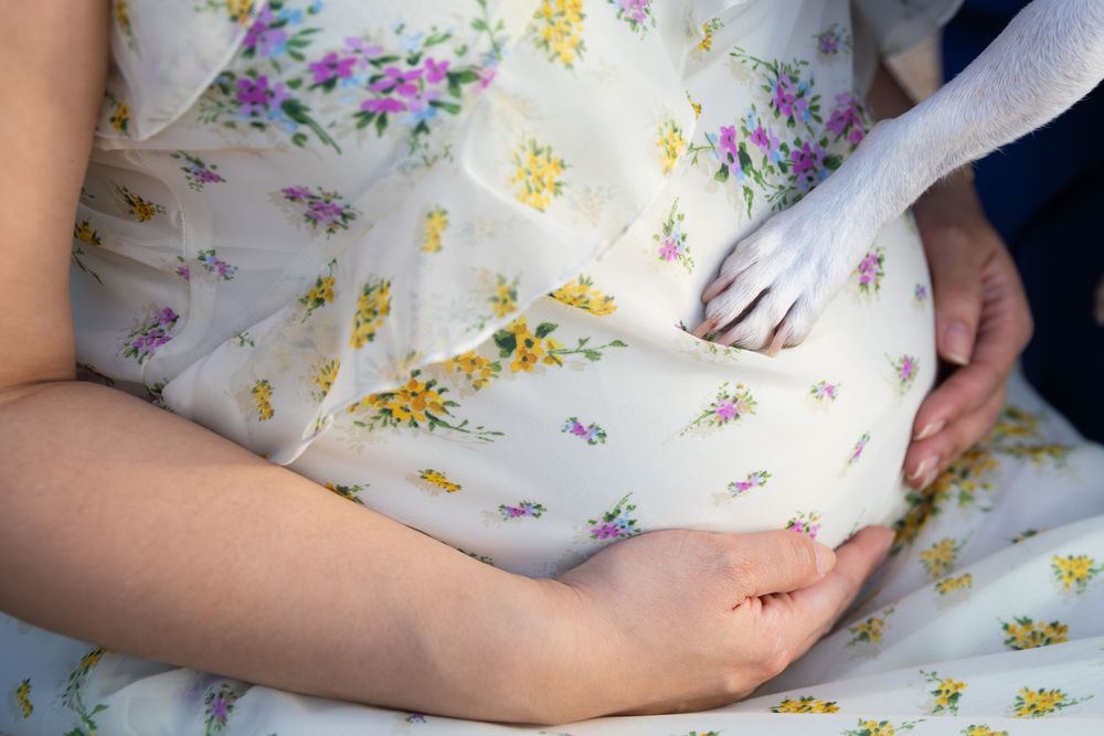 A dog's paw rests gently on a pregnant woman's baby bump as she sits in a floral dress.