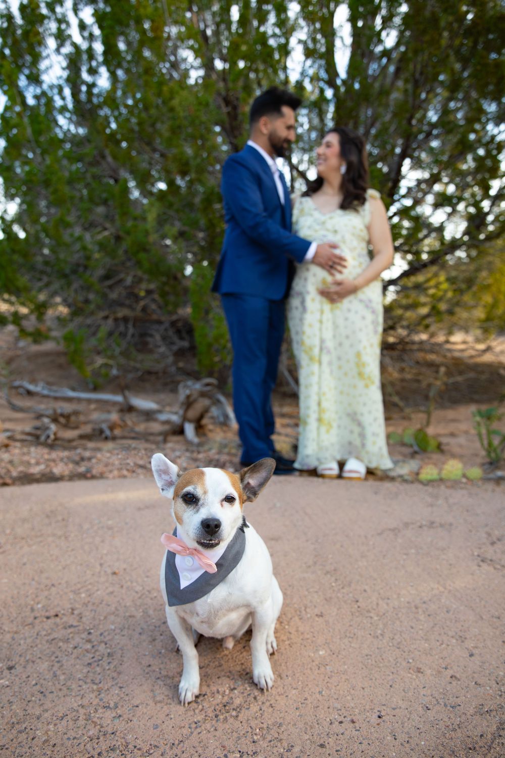 A dressed dog poses in front of a couple sharing a tender moment outdoors during a maternity photo shoot.