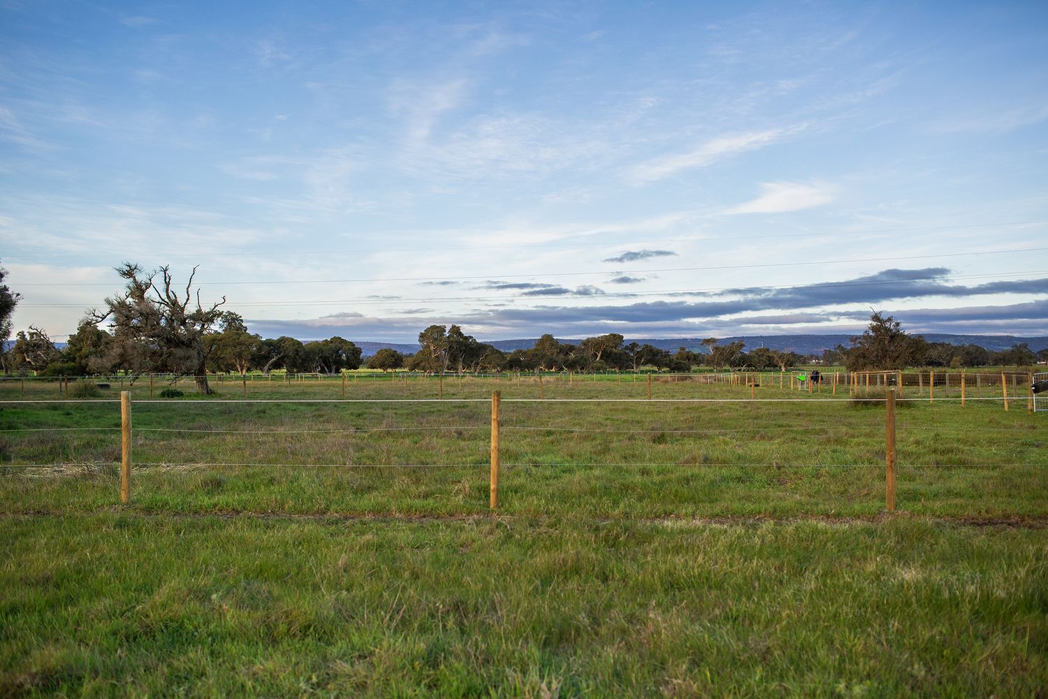 Open paddock property in Oldbury