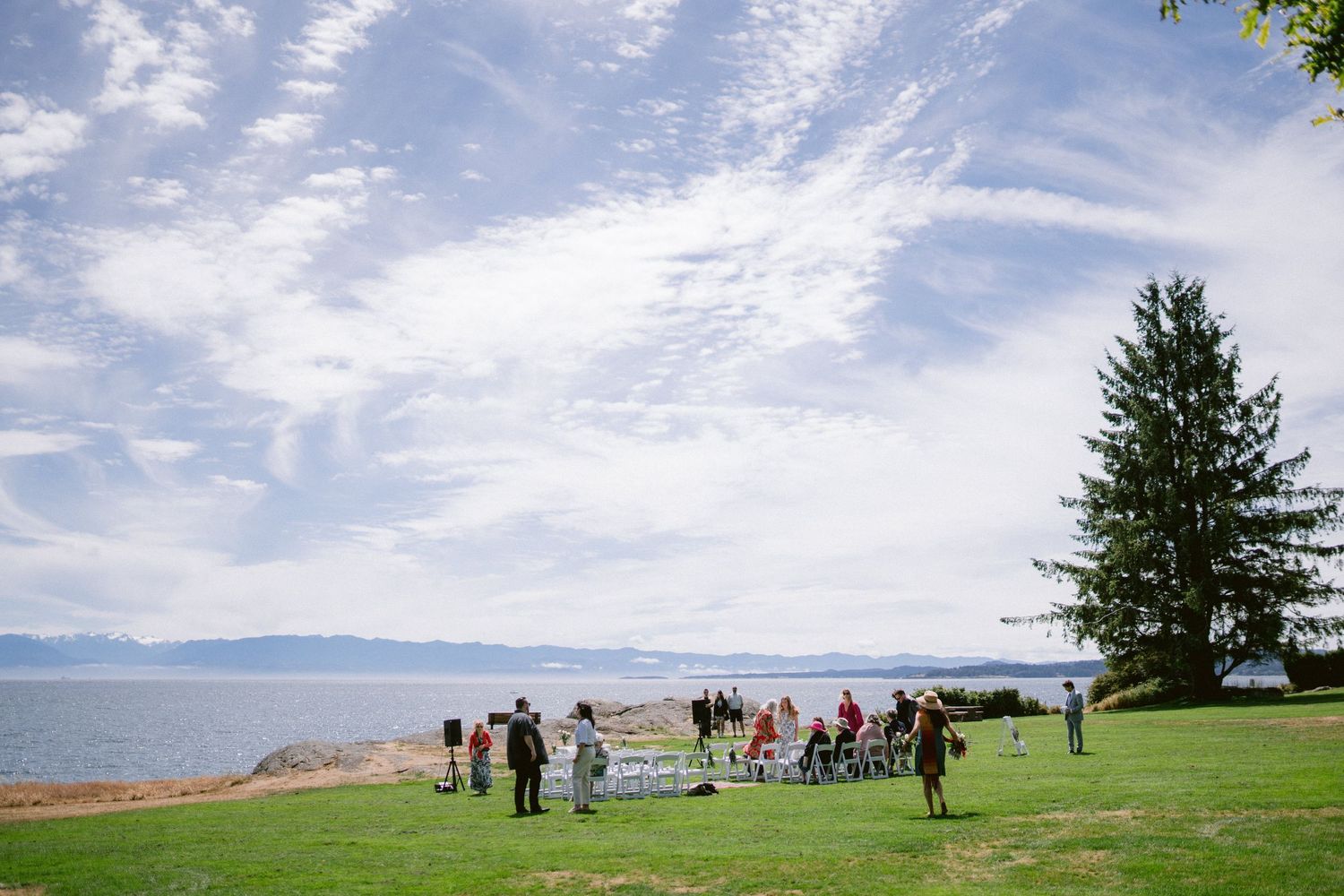 Wedding guests gathered on green lawn near ocean with tall tree and dramatic cloudy sky above.