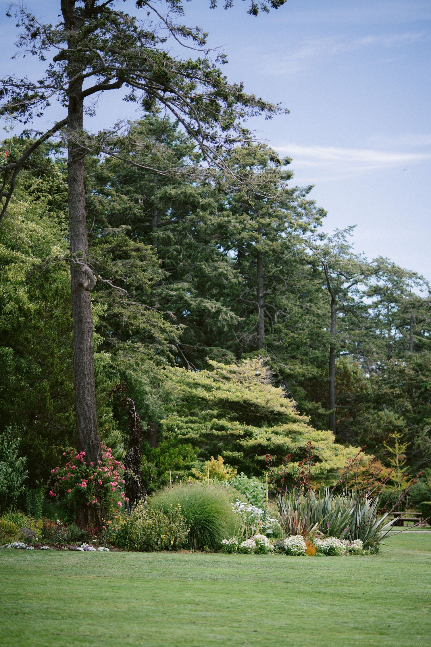 Lush garden landscape with tall pine trees, colorful flower beds, and manicured green lawn.