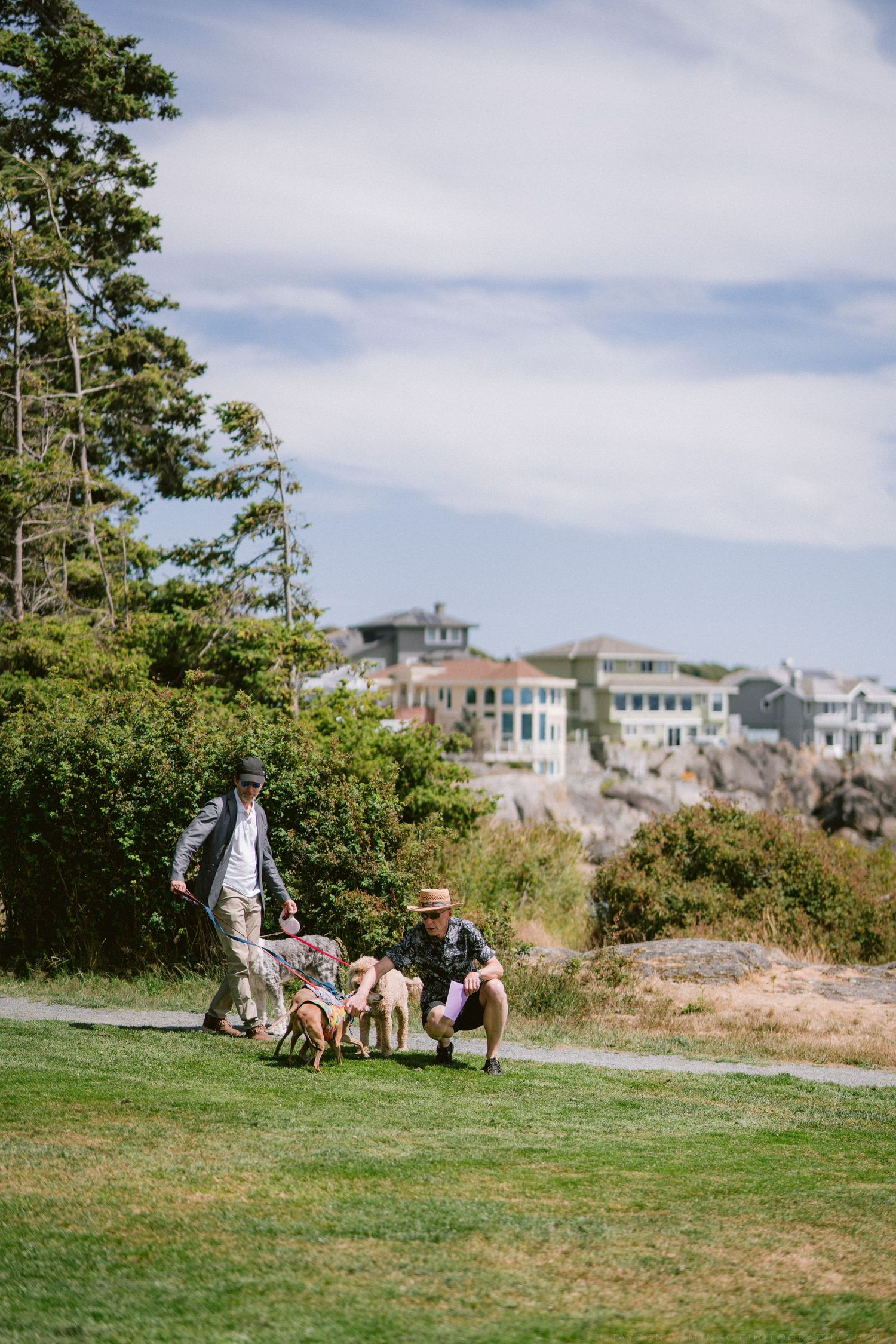 A family walks with dogs on a green lawn with coastal homes and rocky shoreline in the background.