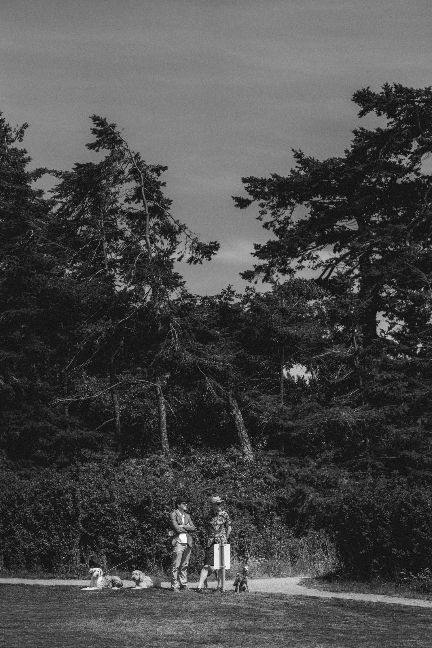 Black and white photo of two people with dogs standing on a grassy path surrounded by tall trees.