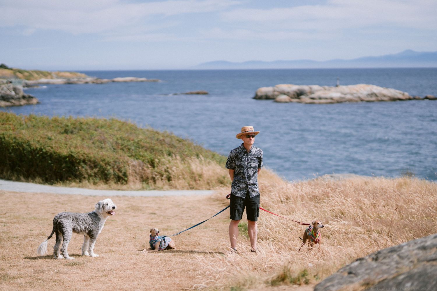 Man walking three dogs on coastal path with rocky shoreline and ocean view.