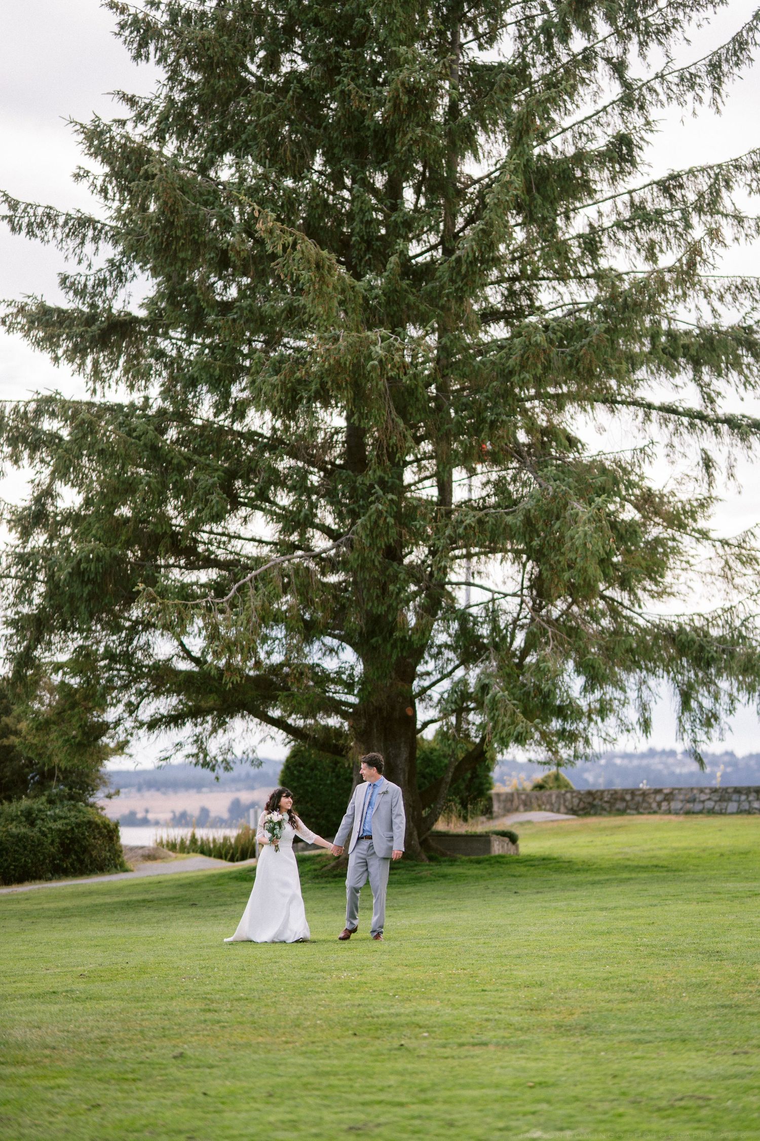 Bride and groom holding hands walking on green lawn beneath a large evergreen tree.