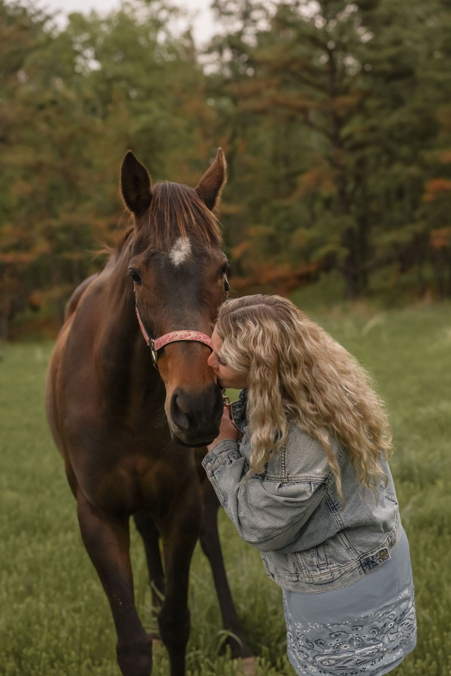 A woman with long blonde hair kisses a brown horse wearing a pink halter in a lush green field.