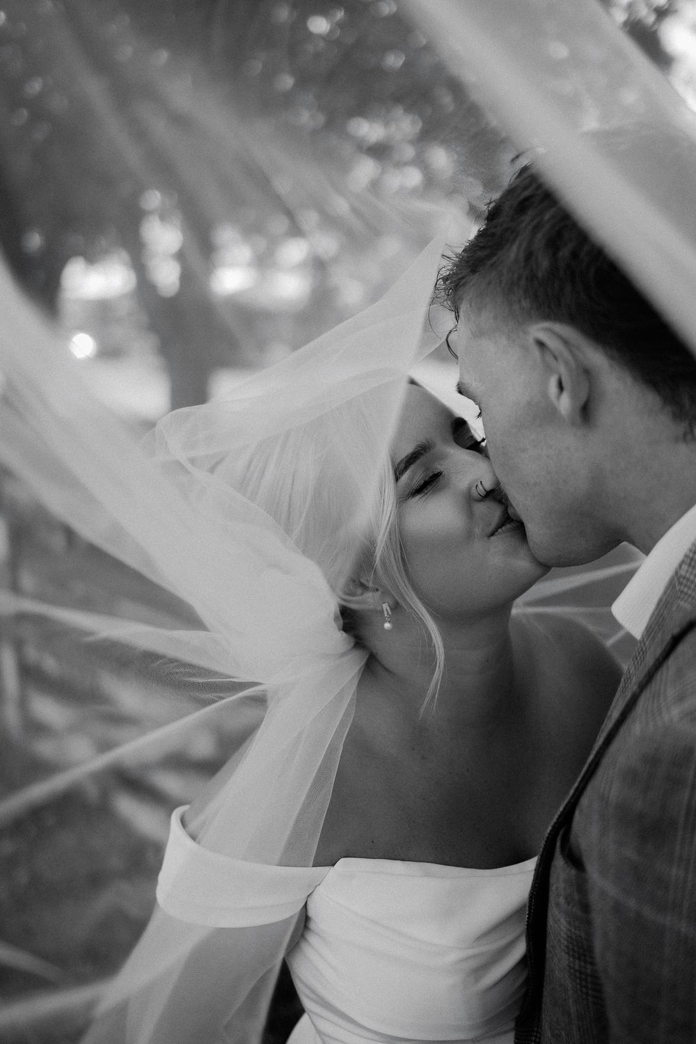 A romantic black and white series of wedding photos showing tender kisses between a couple under a flowing veil.