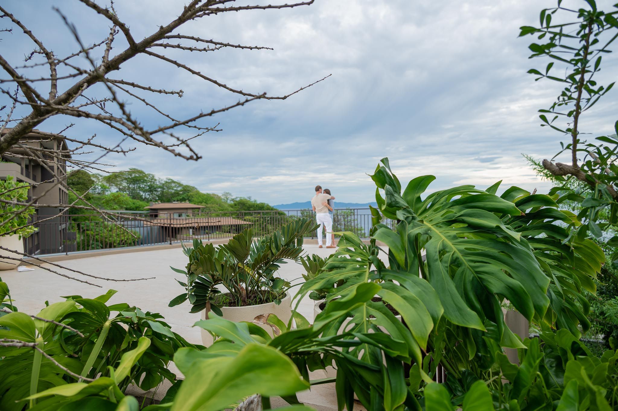 Couple stands on a sunny terrace overlooking the ocean, framed by lush tropical monstera leaves and bare branches under a cloudy sky.