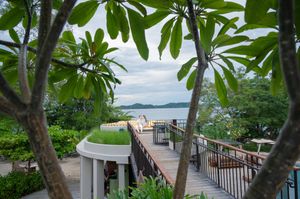 Wooden boardwalk with railing winds through tropical trees to a scenic hillside overlook with a curved viewing platform above a calm sea.