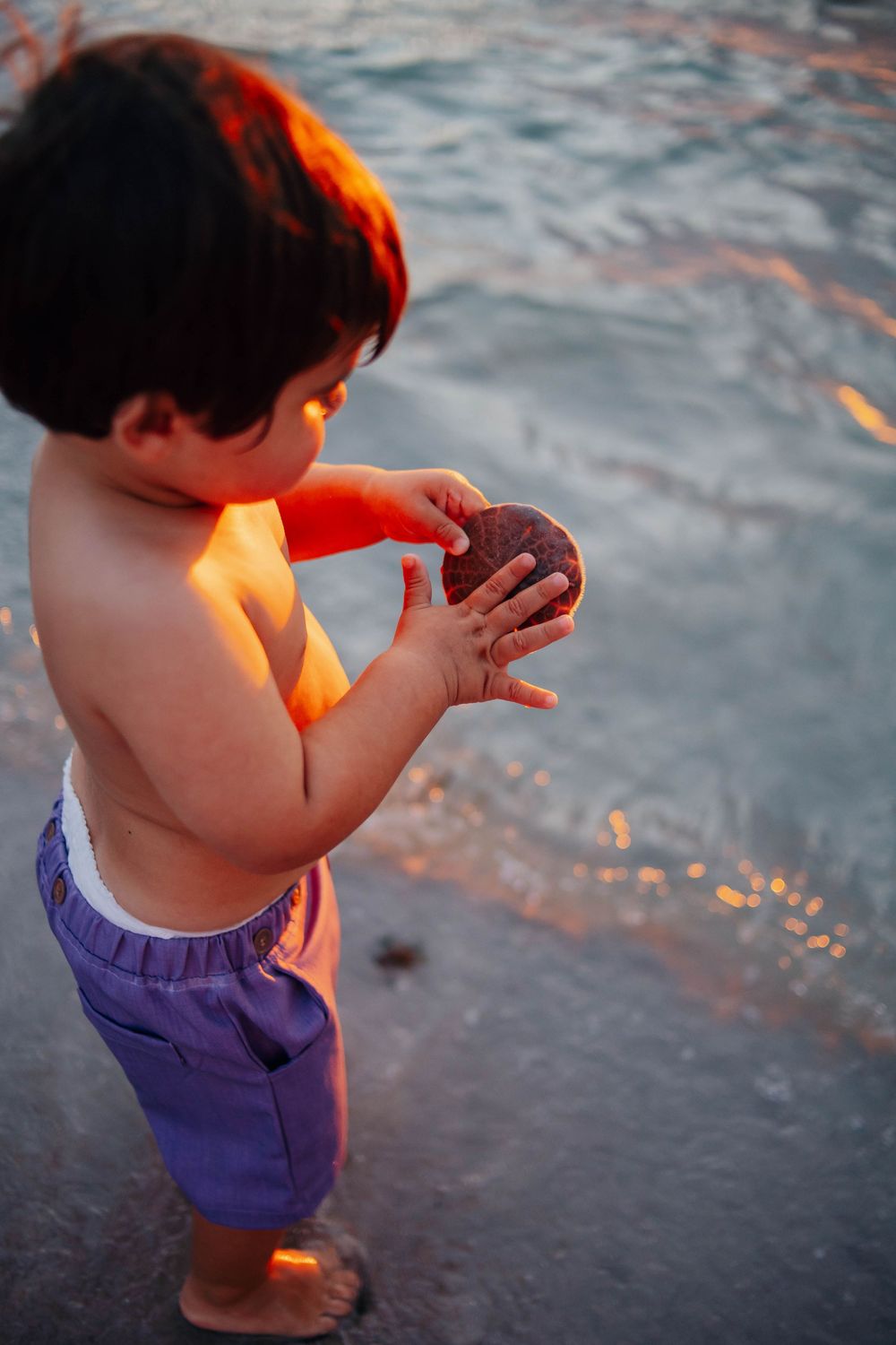 A shirtless toddler in purple shorts holds a smooth round stone while standing at the water's edge on a sunlit beach.