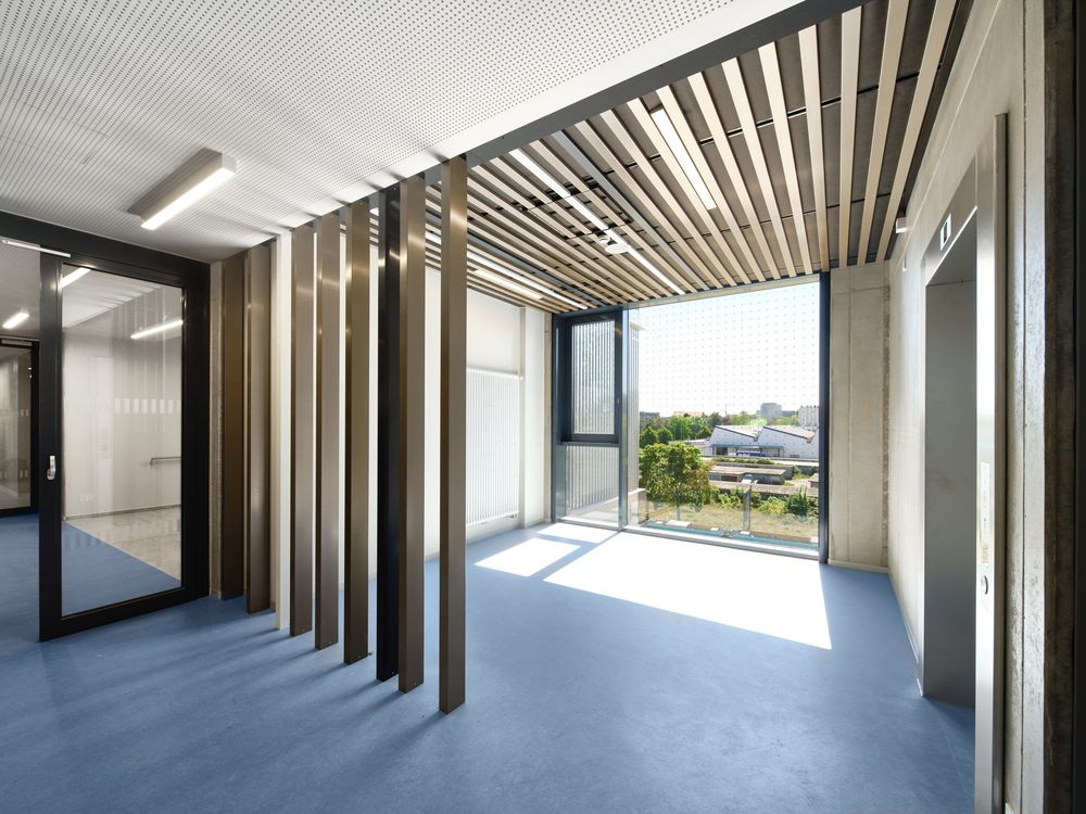 Modern building interior with vertical wooden slats, blue floor, large window with outdoor views, and a glass door reflecting sunlight.