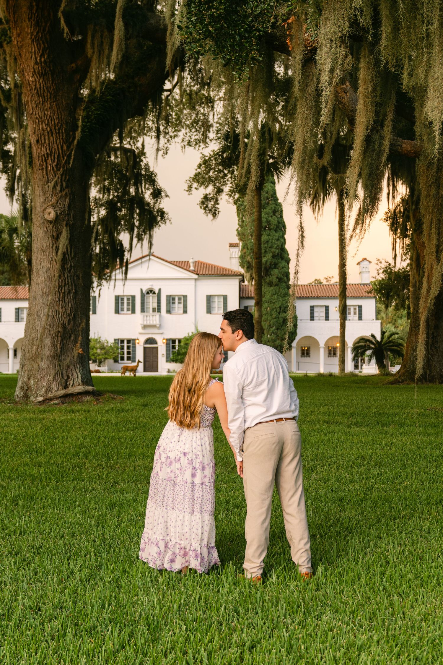 Oak trees draped in Spanish moss framing a historic white building in warm evening light.
