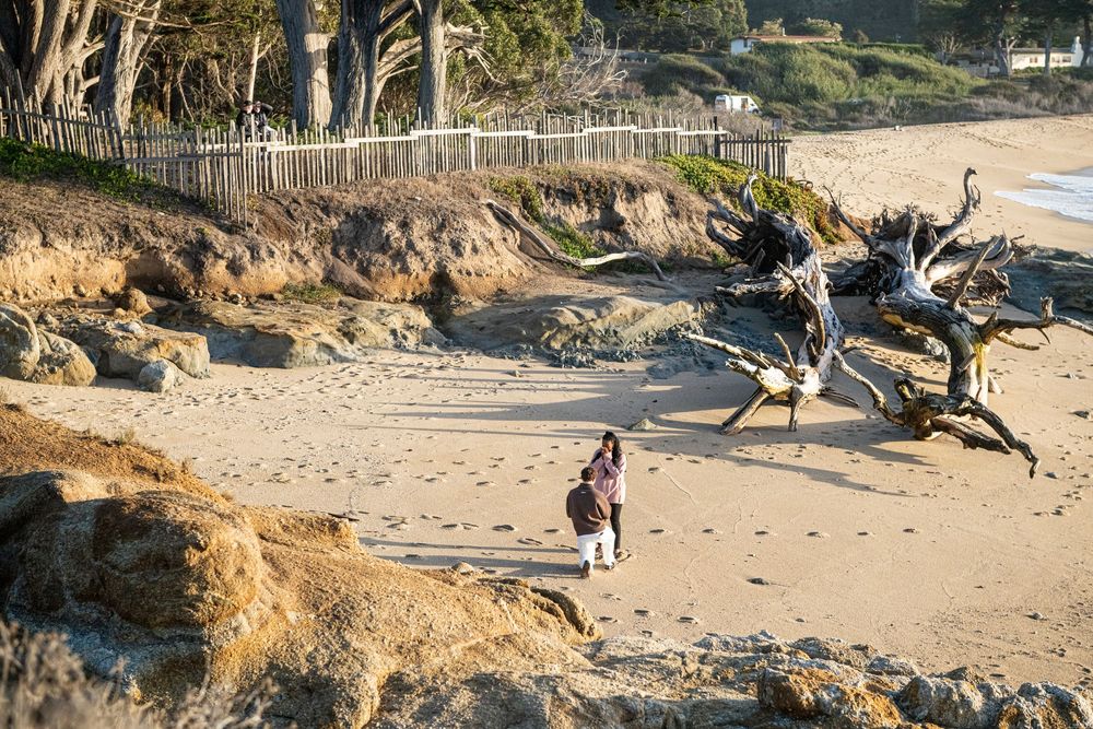 Person walking on a sandy beach with driftwood and rocky cliffs at Carmel-by-the-Sea, California.