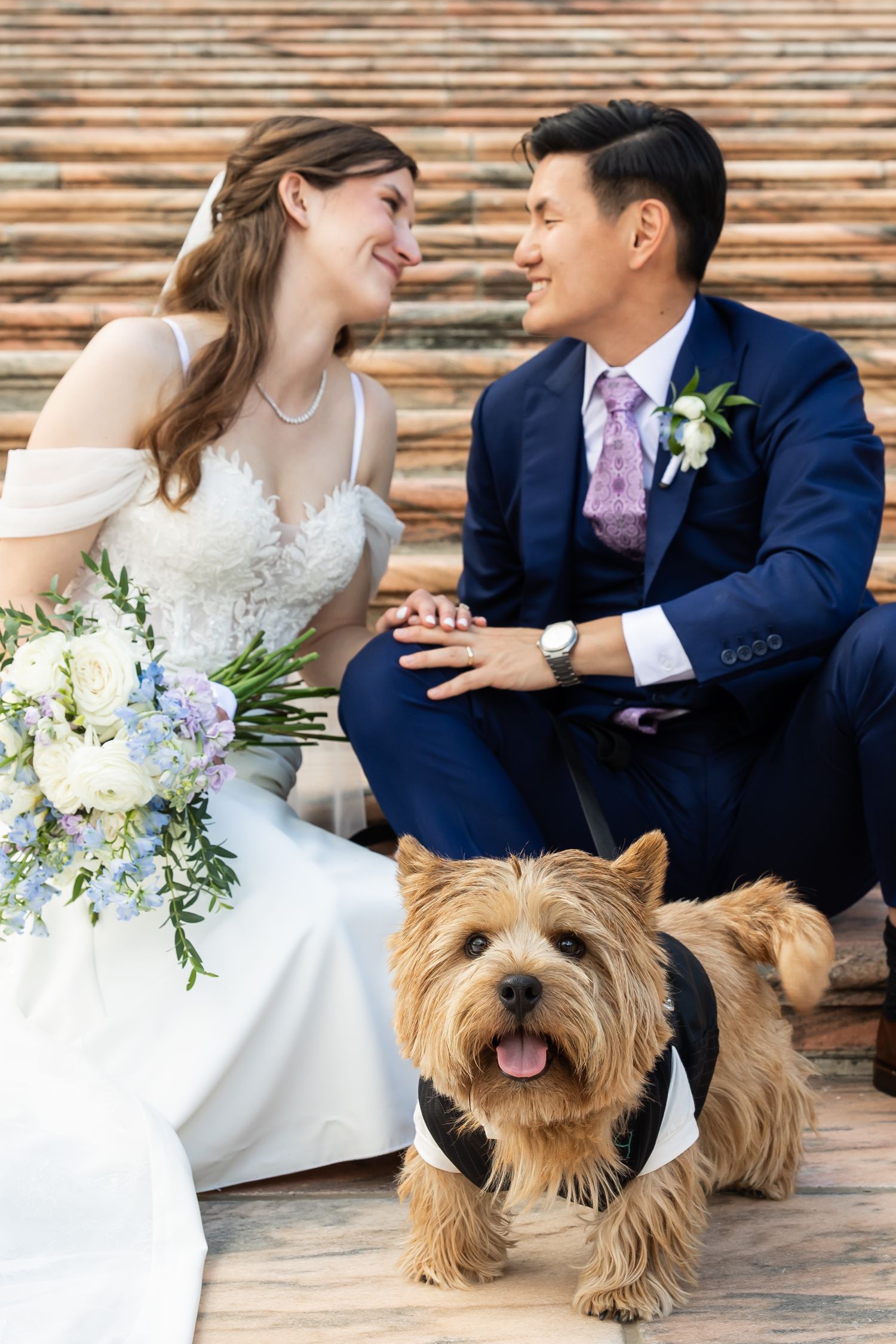 Bride and groom sitting together smiling with a Yorkshire Terrier in a tuxedo at their wedding.