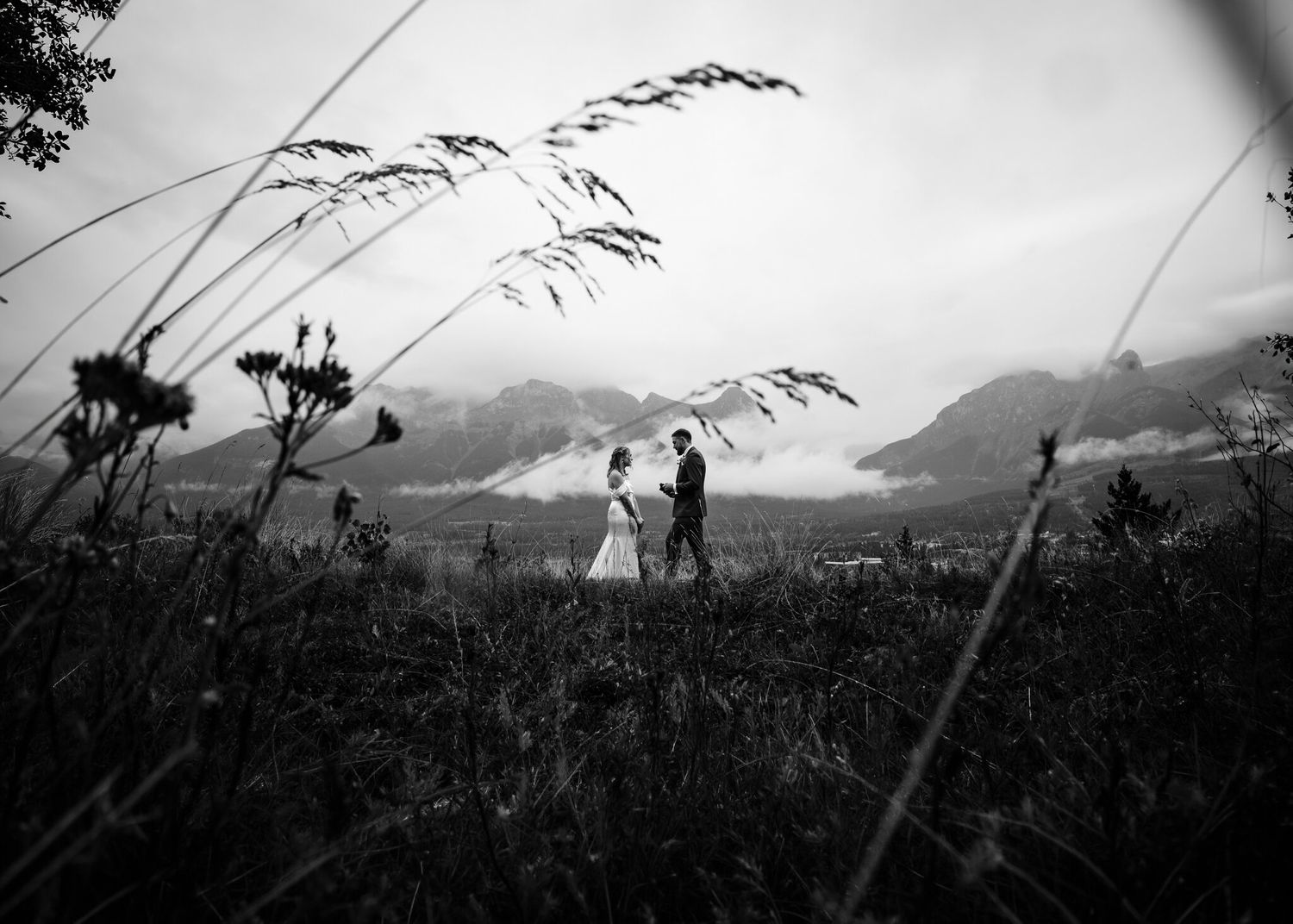 Black and white wedding vows framed by tall grass above Canmore