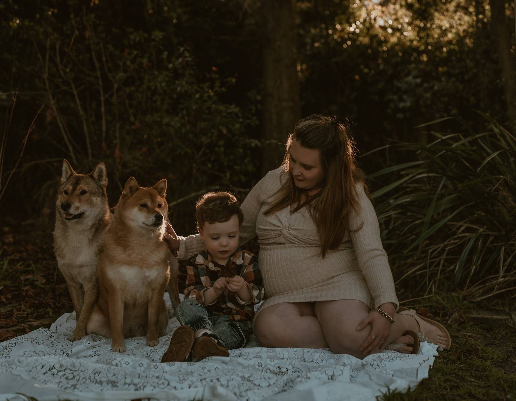 Pregnant woman sits outdoors on blanket with young child and two Shiba Inu dogs in a serene forest setting.