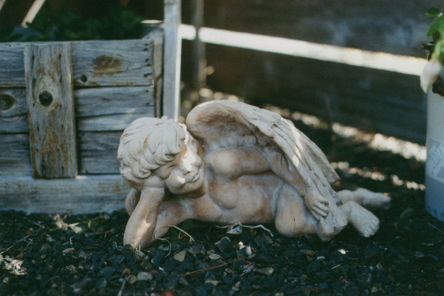 Weathered terracotta cherub statue with folded wings reclining on dark garden mulch beside a rustic wooden planter box.
