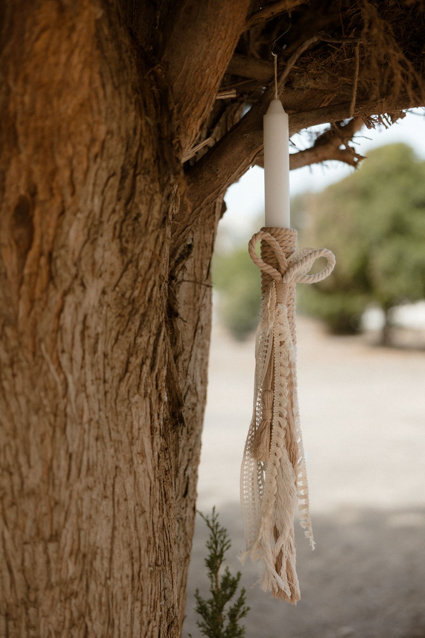 White candle with lace ribbon bow hanging from rustic tree bark outdoors.