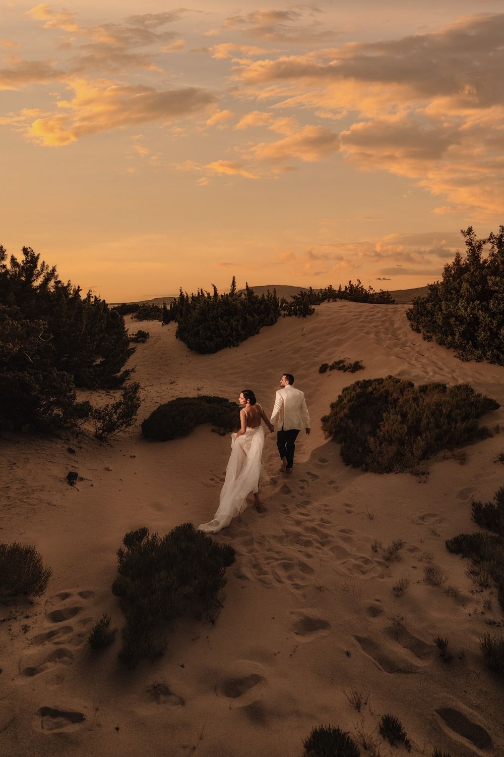 Bride and groom walk hand-in-hand across golden sand dunes at sunset, surrounded by desert shrubs.