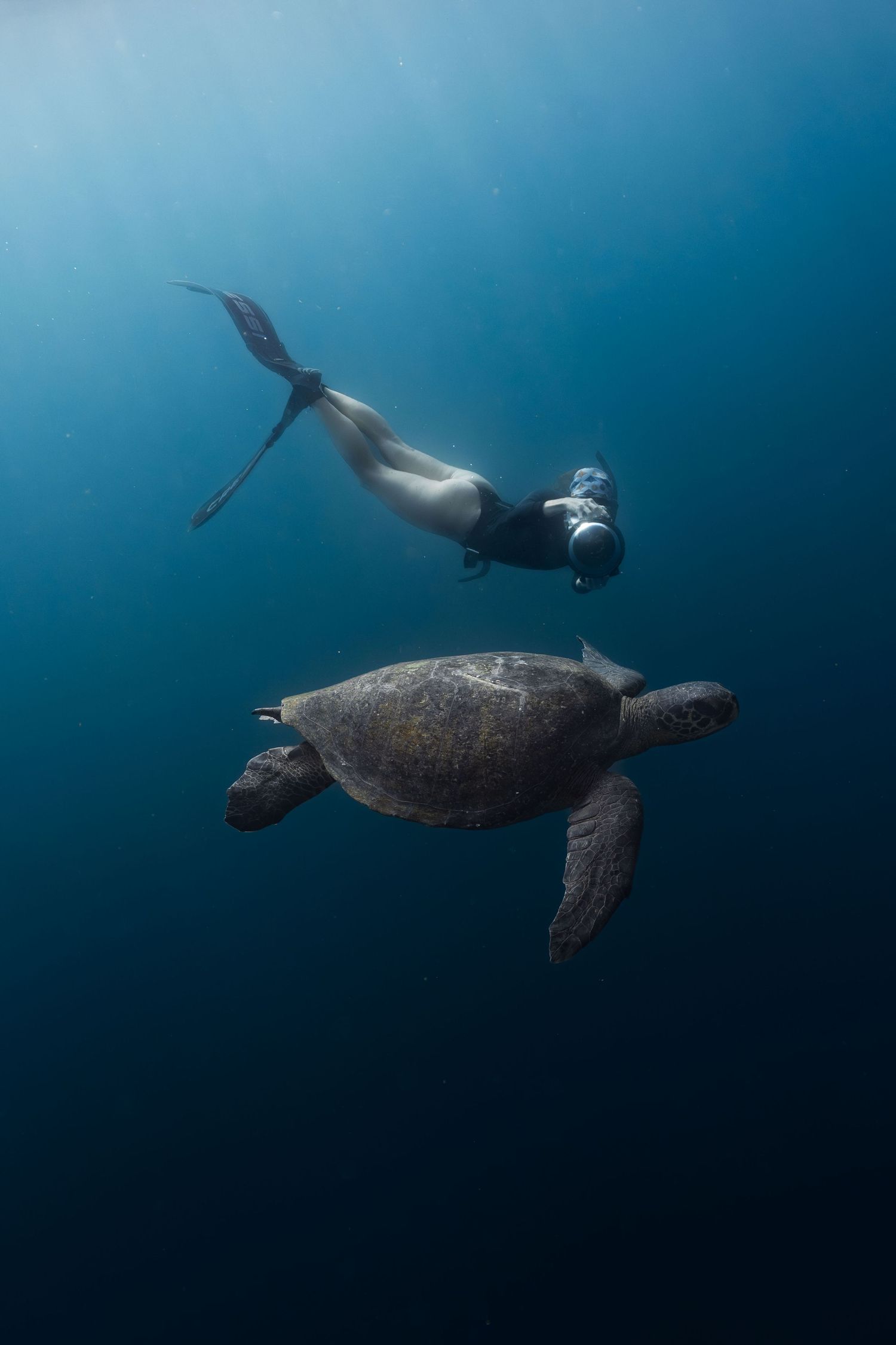Ocean photographer Gaby Salvador swimming alongside a large sea turtle in clear blue ocean water with sunlight above.