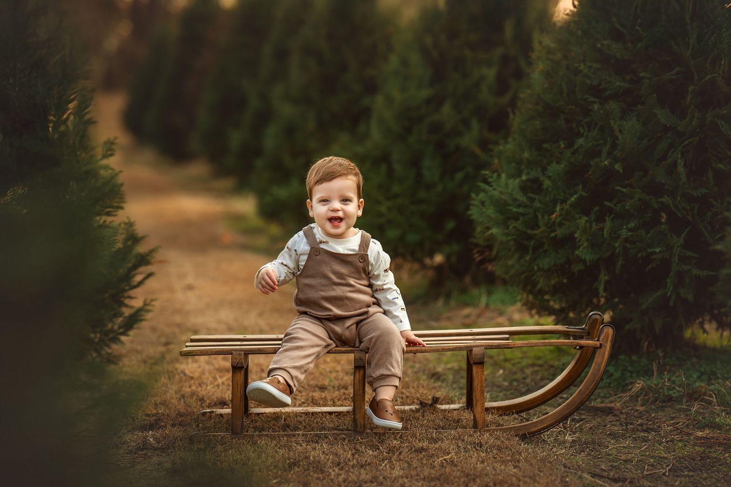 Smiling toddler boy in overalls sitting on a wooden sled surrounded by rows of green Christmas trees.